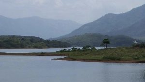 Oily substance found floating on Kerala’s Malankara reservoir raises contamination concerns