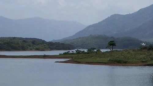 Oily substance found floating on Kerala’s Malankara reservoir raises contamination concerns