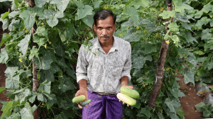 The main occupation, agriculture, depends on scant rainfall. 