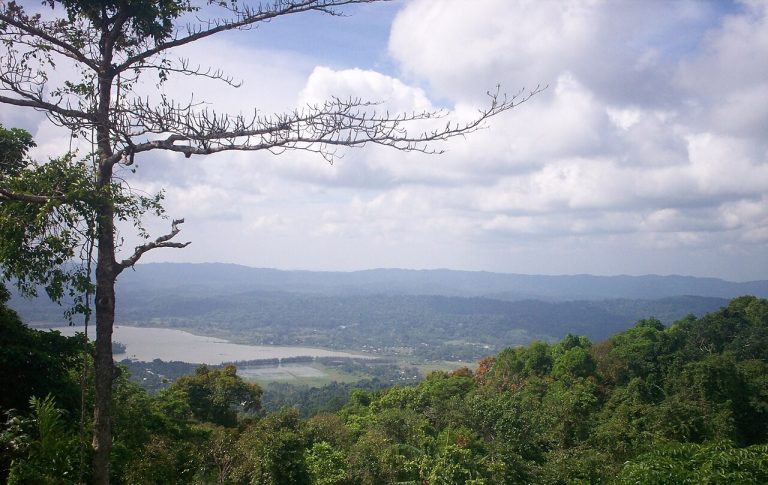 As much as 130 square km of rainforest will be lost to the projects. (T. Harshavardan/Creative Commons)
