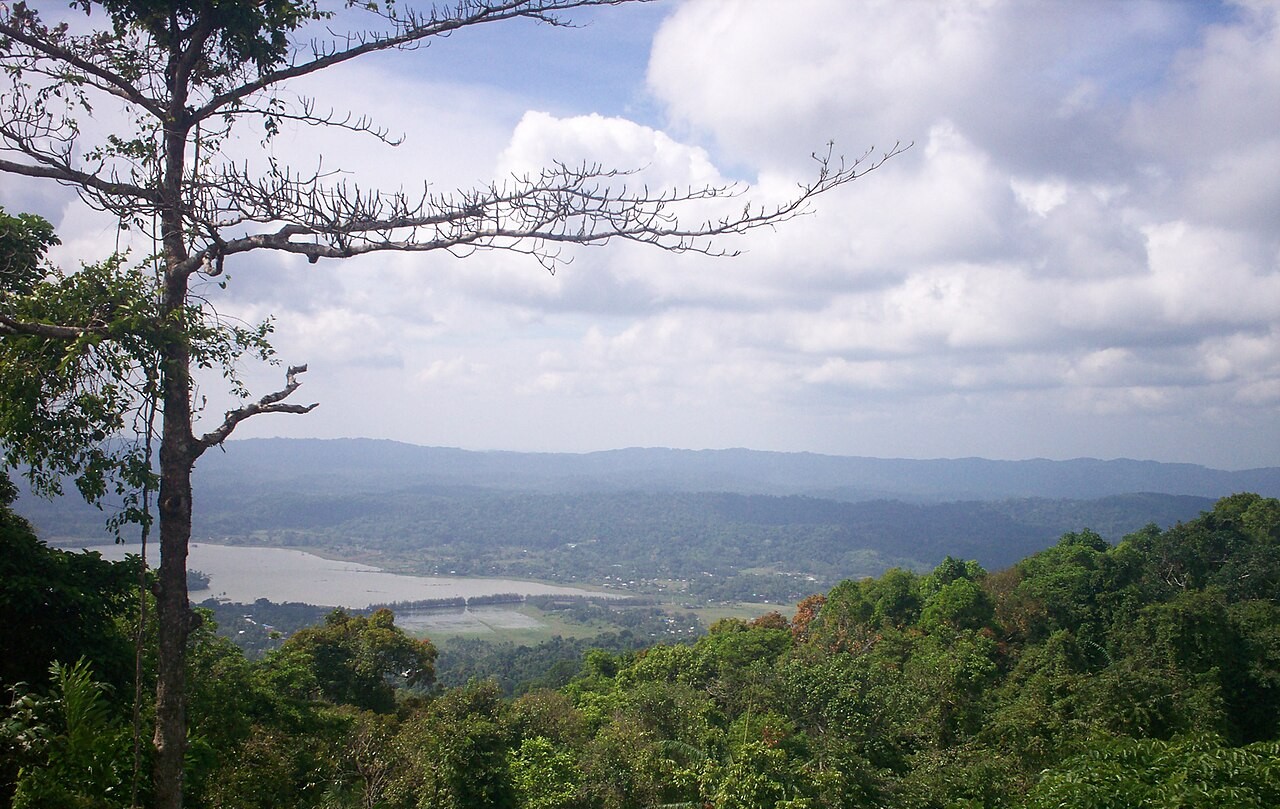 As much as 130 square km of rainforest will be lost to the projects. (T. Harshavardan/Creative Commons)