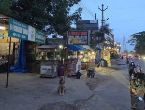 The uneven footpath at Hyderabad's Kompally poses a risk to pedestrians. Food stalls on the walkway add to the chaos. (Shreshta Ladegaam)