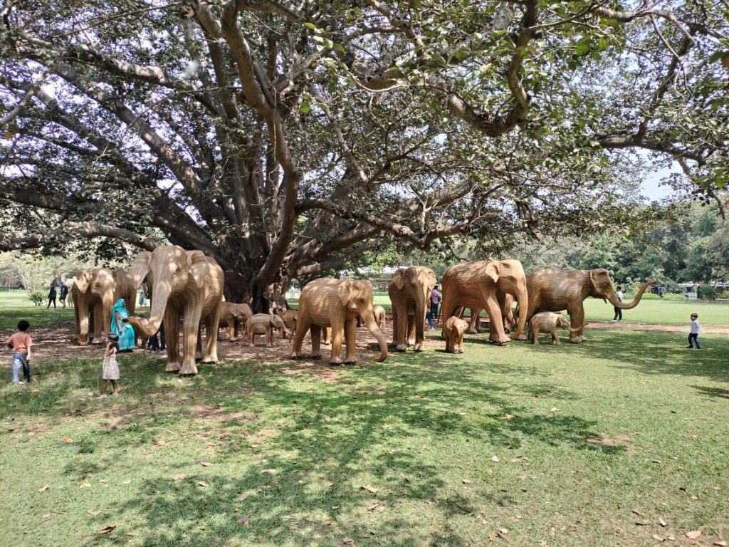 Lantana camara: The elephant-size problem hiding in India's green forests