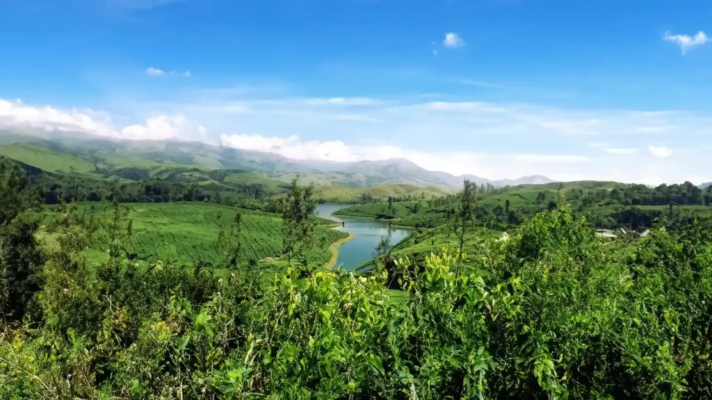 Everyone wants a piece of Munnar: But can Kerala's crown jewel carry the weight of its own success?
