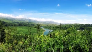 Everyone wants a piece of Munnar: But can Kerala's crown jewel carry the weight of its own success?