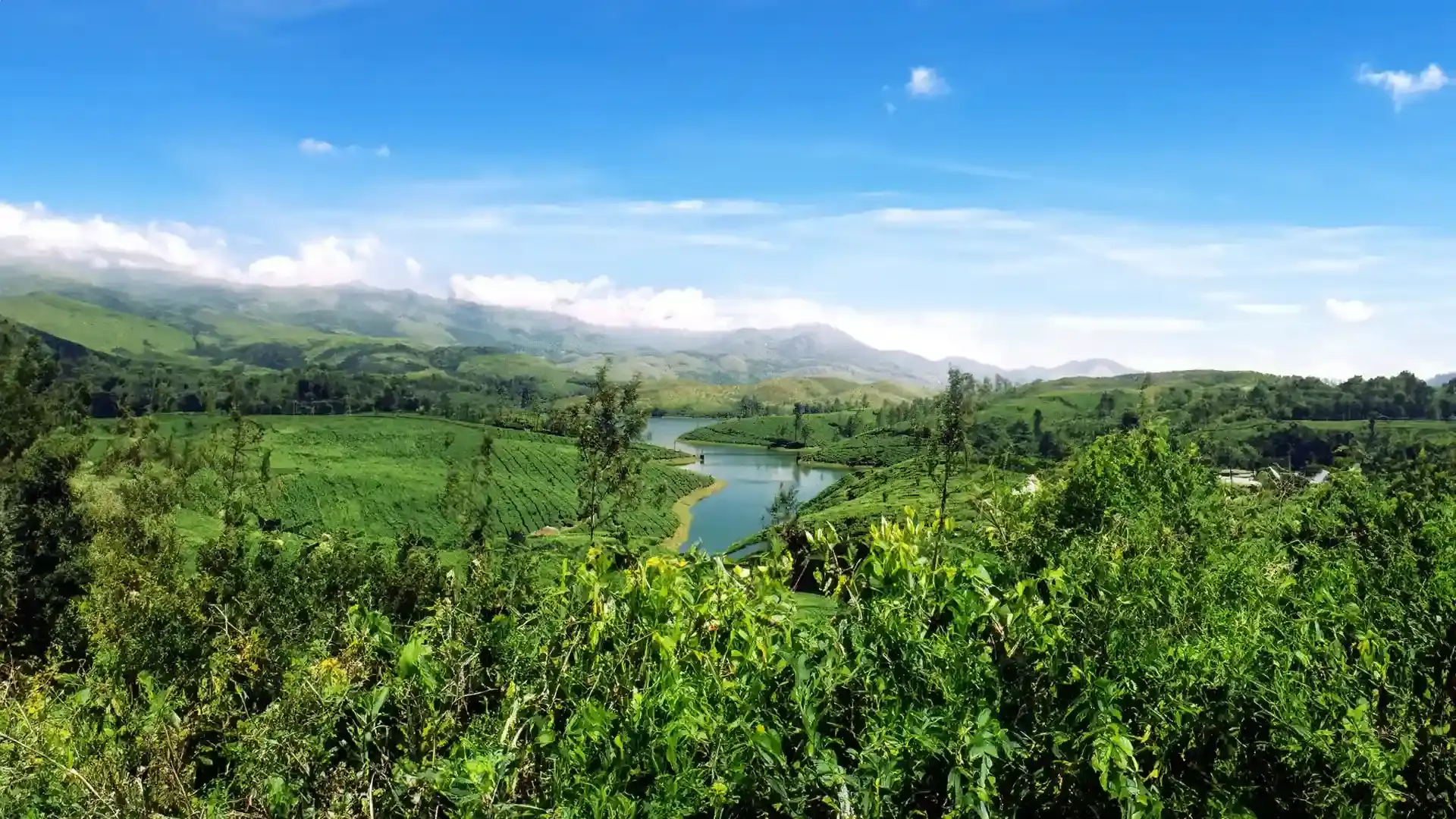 Everyone wants a piece of Munnar: But can Kerala’s crown jewel carry the weight of its own success?