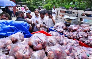 Operation Onion: The 100-tonne experiment to peel away Keralam's price pain
