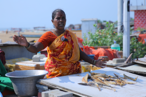A fisherwoman cleans fish at a roadside stall in Pattinapakkam, seated beside buckets and containers.