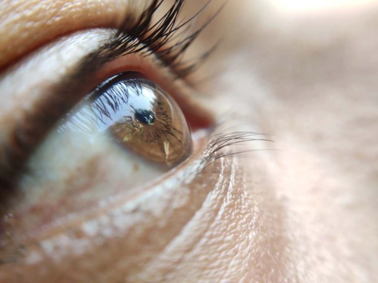 Cornea