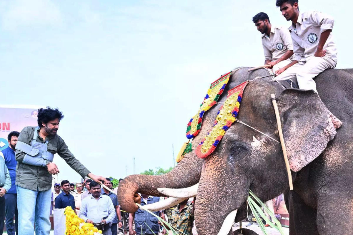 Andhra Pradesh Deputy Chief Minister Pawan Kalyan welcomed trained Kumki elephants named Jayanth and Abhimanyu at his camp office in Mangalagiri.