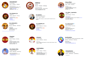 Screenshot collage showing multiple TVK-related social media pages and accounts operating under the names of different Indian states, including West Bengal, Telangana, Rajasthan, Odisha, Maharashtra, Madhya Pradesh, Gujarat, Assam, Karnataka, Bengal, Bihar and Andhra Pradesh.