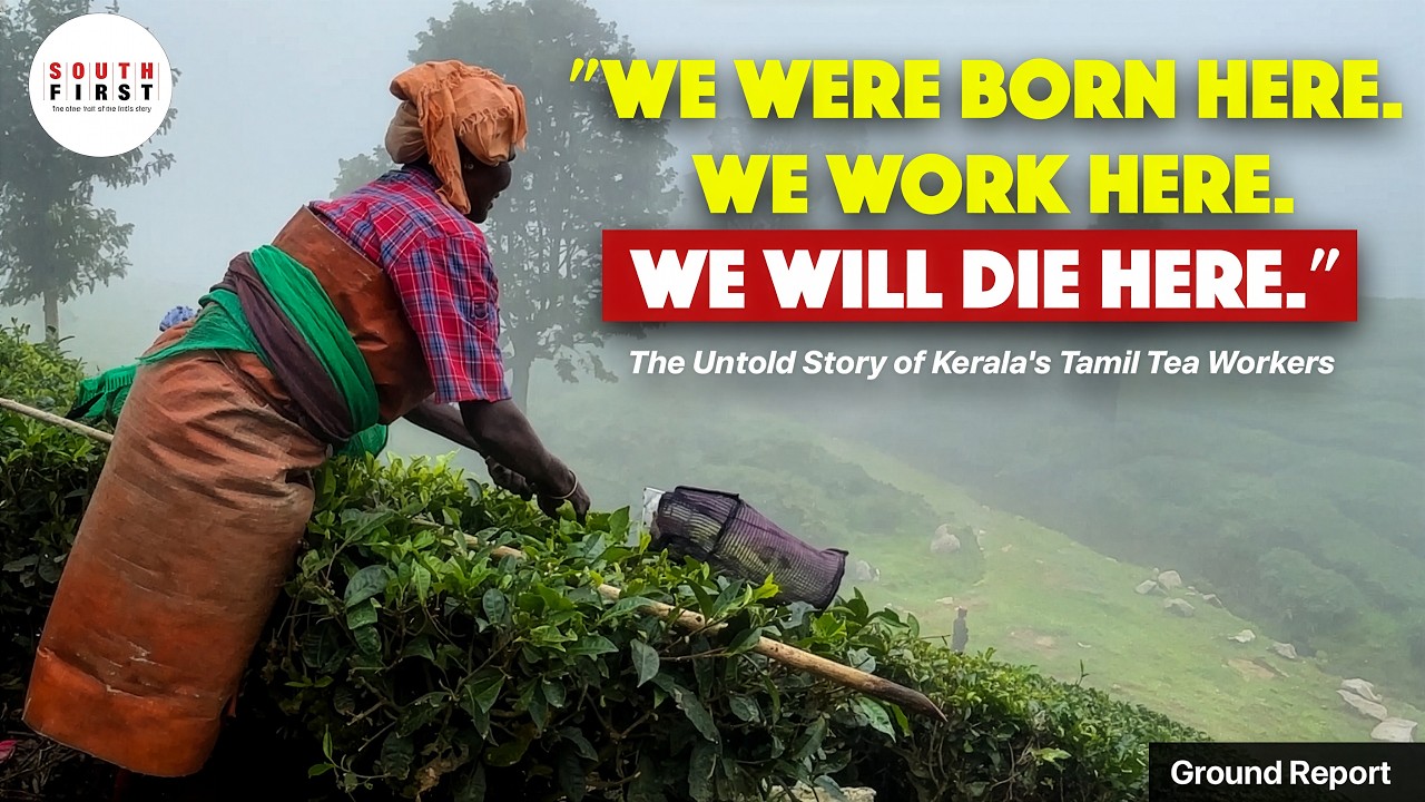 Untold Story of Kerala's Tamil Tea Workers