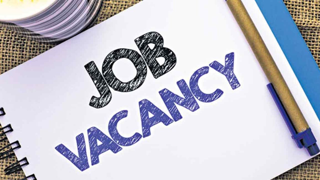 Jobs: డిగ్రీ అర్హతతో బ్యాంక్ ఆఫ్ బరోడాలో ఉద్యోగాలు.. పరీక్ష లేకుండానే జాబ్ Jobs: డిగ్రీ అర్హతతో బ్యాంక్ ఆఫ్ బరోడాలో ఉద్యోగాలు.. పరీక్ష లేకుండానే జాబ్