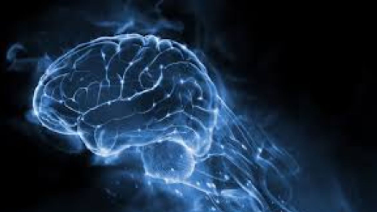 Brain Health: ఋషుల వంటి బ్రెయిన్ కావాలంటే ఇలా చేయండి చాలు..