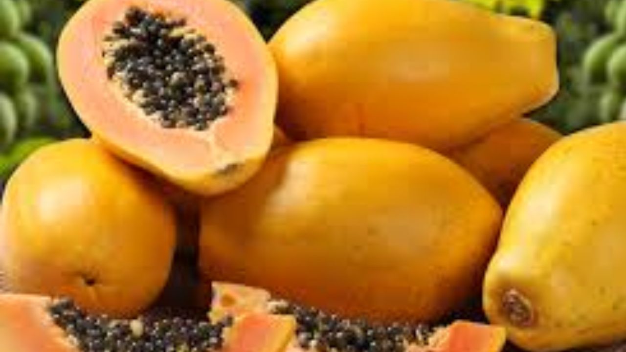 Papaya: వీరు పొరపాటున అయినా బొప్పాయి తింటే.. పైకి పోవడం గ్యారెంటీ Papaya: వీరు పొరపాటున అయినా బొప్పాయి తింటే.. పైకి పోవడం గ్యారెంటీ