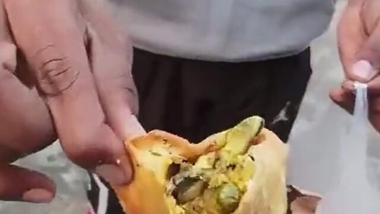 Lizard in Samosa: సమోసాలో బల్లి.. పిల్లలకు వాంతులు.. షాప్ మూసేసి యజమాని పరార్ Lizard in Samosa: సమోసాలో బల్లి.. పిల్లలకు వాంతులు.. షాప్ మూసేసి యజమాని పరార్