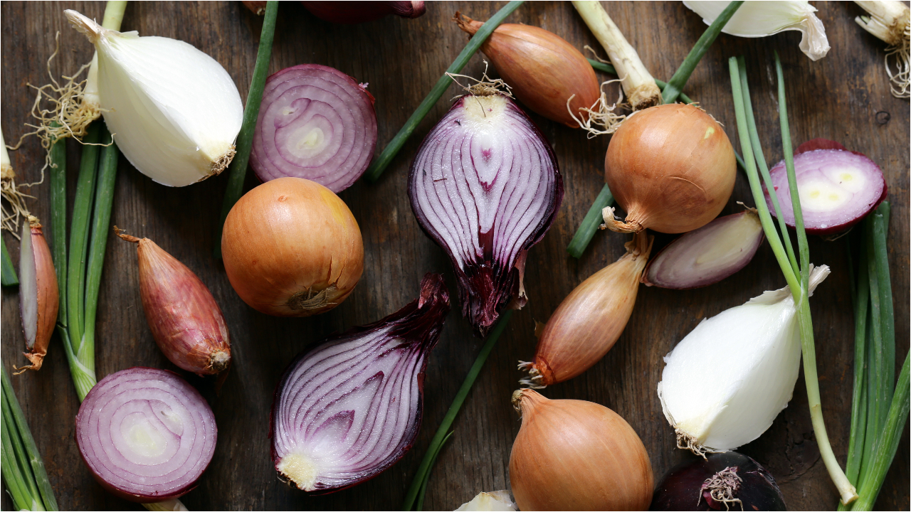 Onions Health Benefits: పచ్చి ఉల్లిపాయతో లక్షల ఆరోగ్య ప్రయోజనాలు.. రోజూ తినడం మంచిదేనా? Onions Health Benefits: పచ్చి ఉల్లిపాయతో లక్షల ఆరోగ్య ప్రయోజనాలు.. రోజూ తినడం మంచిదేనా?