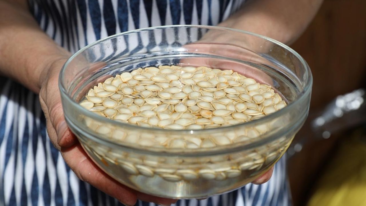 Soaked Pumpkin Seed Water Benefits: నానబెట్టిన గుమ్మడి గింజల నీరు తాగితే ఈ సమస్యలు దూరం..