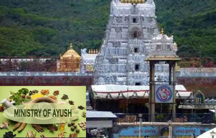 తిరుమల: శ్రీవారి భక్తులకు శుభవార్త.. స్కాన్ చేస్తే అన్ని వివరాలు తిరుమల: శ్రీవారి భక్తులకు శుభవార్త.. స్కాన్ చేస్తే అన్ని వివరాలు