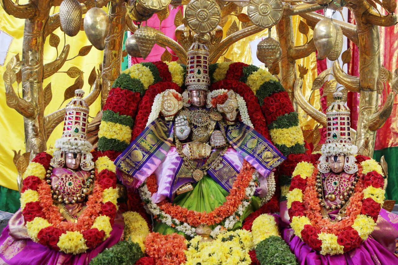 కల్పవృక్ష వాహనంపై..శ్రీ గోవిందరాజస్వామివారి వైభవం కల్పవృక్ష వాహనంపై..శ్రీ గోవిందరాజస్వామివారి వైభవం