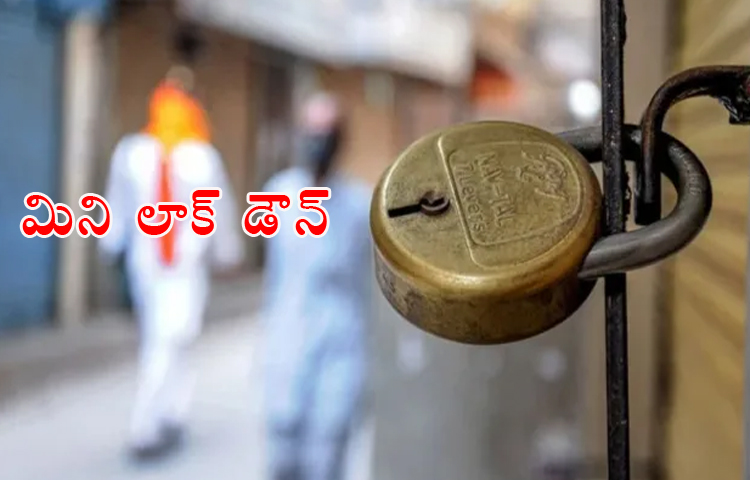 కేంద్రం మినీ లాక్డౌన్లు ప్రకటింపు. కేంద్రం మినీ లాక్డౌన్లు ప్రకటింపు.