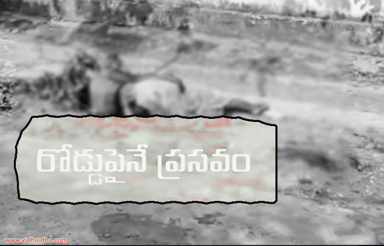 రోడ్డుపైనే ప్రసవం రోడ్డుపైనే ప్రసవం