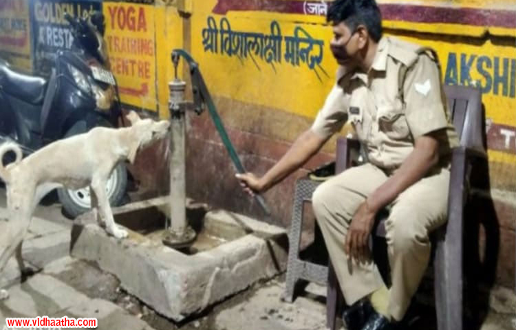కుక్క దాహాన్ని తీర్చిన పోలీస్ కుక్క దాహాన్ని తీర్చిన పోలీస్