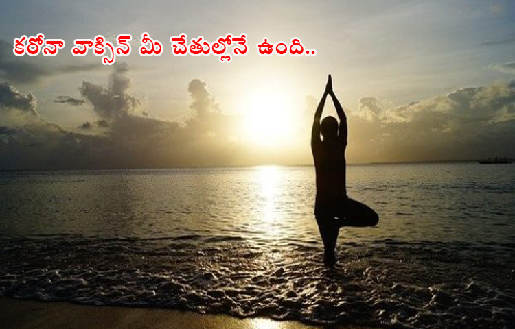 కరోనా వాక్సిన్ మీ చేతుల్లోనే ఉంది.. కరోనా వాక్సిన్ మీ చేతుల్లోనే ఉంది..