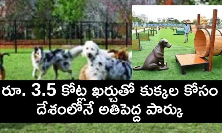 3.5 కోట్ల ఖర్చుతో కుక్కల కోసం అతిపెద్ద పార్కు! 3.5 కోట్ల ఖర్చుతో కుక్కల కోసం అతిపెద్ద పార్కు!