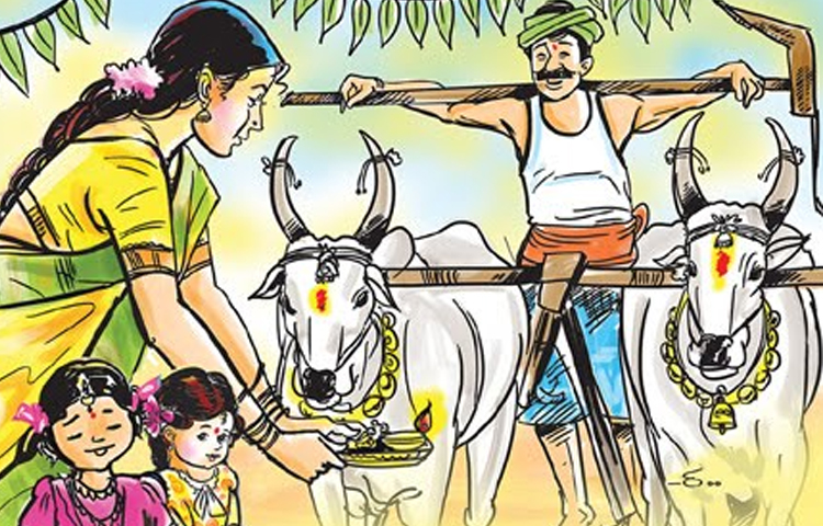 ఏరువాక పున్నమి… ప్రత్యేక కథనం ఏరువాక పున్నమి… ప్రత్యేక కథనం
