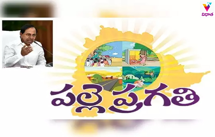 జులై 1 నుంచి పల్లె ప్రగతి.. జులై 1 నుంచి పల్లె ప్రగతి..