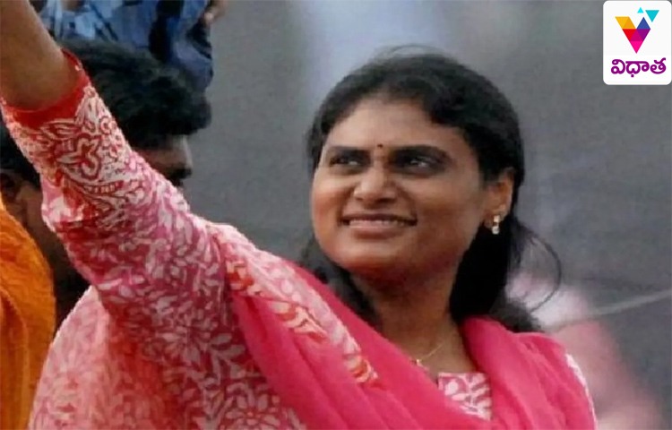 కోవిడ్ బాధిత కుటుంబాలకు వైఎస్ షర్మిల పరామర్శ కోవిడ్ బాధిత కుటుంబాలకు వైఎస్ షర్మిల పరామర్శ