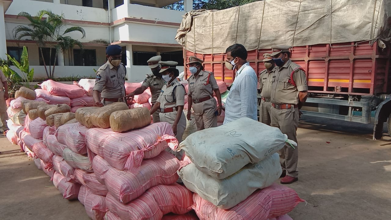 విజయనగరం జిల్లాలో భారీ గంజాయి పట్టివేత విజయనగరం జిల్లాలో భారీ గంజాయి పట్టివేత