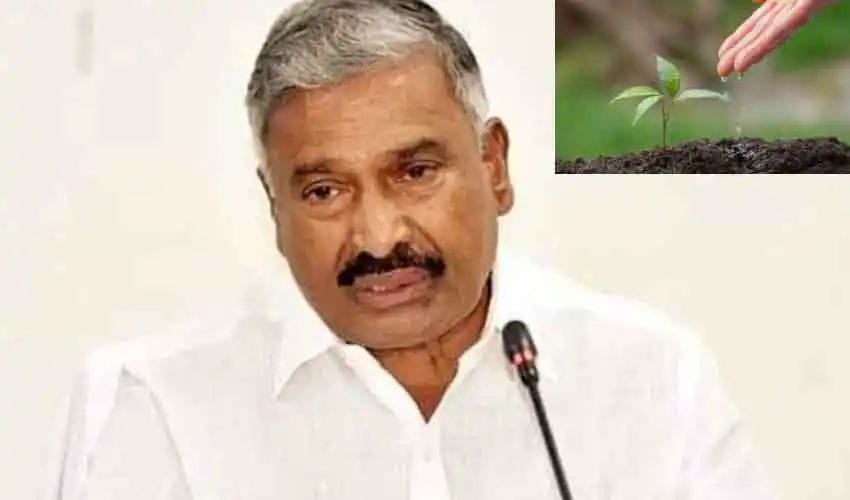 మొక్కలు చనిపోతే సర్పంచుల పై వేటు..పెద్దిరెడ్డి మొక్కలు చనిపోతే సర్పంచుల పై వేటు..పెద్దిరెడ్డి