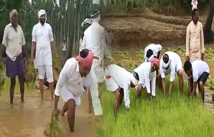 భూమిని కౌలుకు తీసుకుని వ్యవసాయం చేస్తున్న cbi మాజీ jd లక్ష్మీనారాయణ భూమిని కౌలుకు తీసుకుని వ్యవసాయం చేస్తున్న cbi మాజీ jd లక్ష్మీనారాయణ