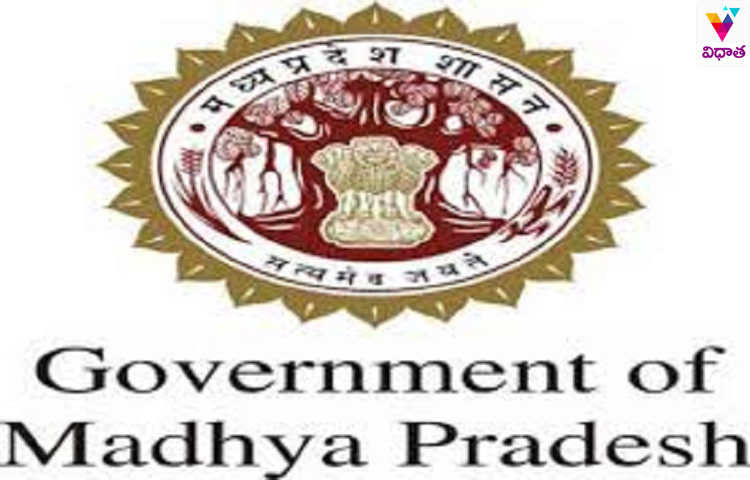 ఉద్యోగులకు సగం జీతంతో ఐదేళ్లు సెలవులు ఉద్యోగులకు సగం జీతంతో ఐదేళ్లు సెలవులు