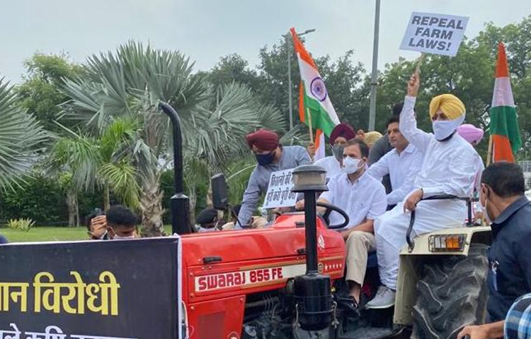 ట్రాక్టర్ నడుపుతూ పార్లమెంట్కు రాహుల్ గాంధీ.. ట్రాక్టర్ నడుపుతూ పార్లమెంట్కు రాహుల్ గాంధీ..