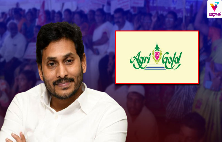 అగ్రి గోల్డ్ బాధితులకు నగదు చెల్లింపులు అగ్రి గోల్డ్ బాధితులకు నగదు చెల్లింపులు