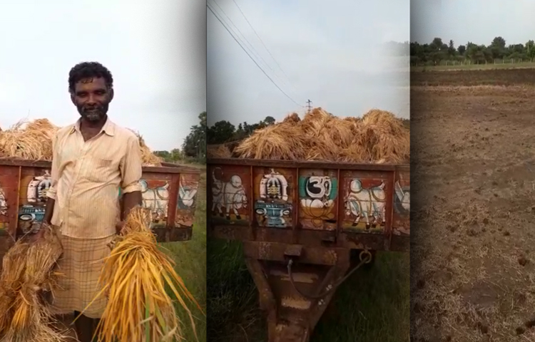 విద్యుత్తు శాఖ నిర్వాకంతో అన్నదాత కష్టాలు విద్యుత్తు శాఖ నిర్వాకంతో అన్నదాత కష్టాలు