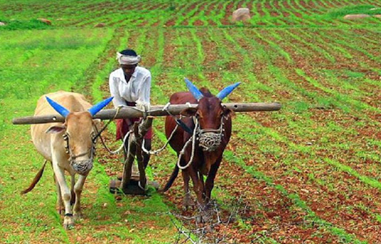 రైతులకు శుభవార్త… పీఎం కిసాన్ 9వ విడత విడుదల రైతులకు శుభవార్త… పీఎం కిసాన్ 9వ విడత విడుదల