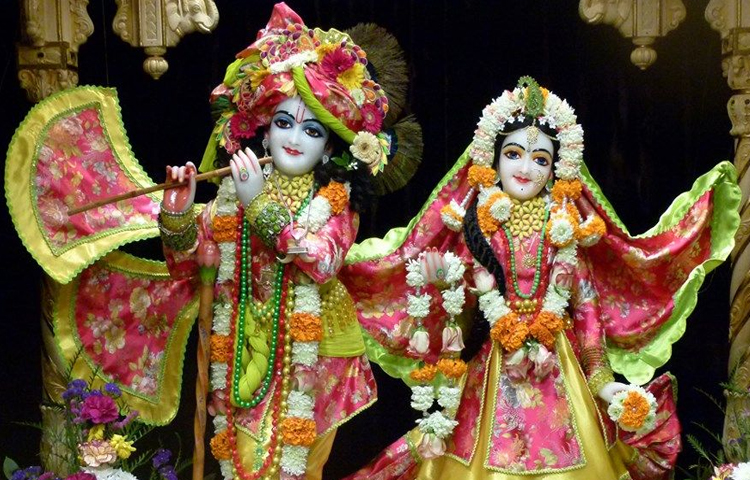 ఘనంగా కృష్ణాష్టమి వేడుకలు ఘనంగా కృష్ణాష్టమి వేడుకలు