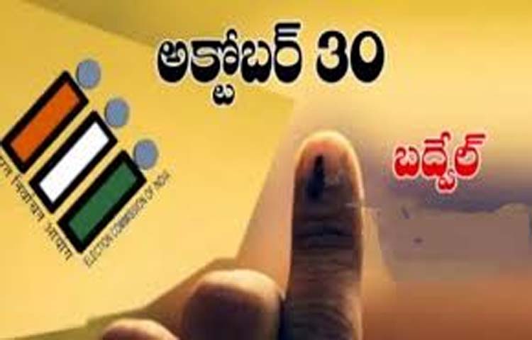 బద్వేలు ఉపఎన్నికల బరిలో 15 మంది అభ్యర్థులు బద్వేలు ఉపఎన్నికల బరిలో 15 మంది అభ్యర్థులు