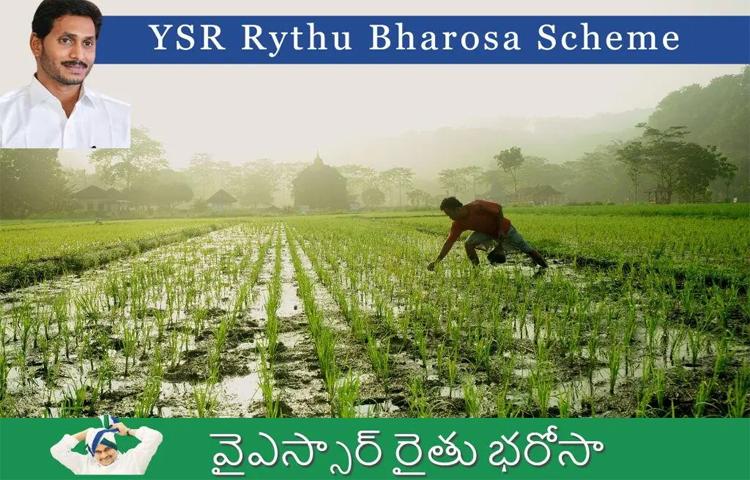 నేడు రైతుల ఖాతాల్లో వైఎస్ఆర్ రైతు భరోసా-పీఎం కిసాన్ నగదు బదిలీ నేడు రైతుల ఖాతాల్లో వైఎస్ఆర్ రైతు భరోసా-పీఎం కిసాన్ నగదు బదిలీ
