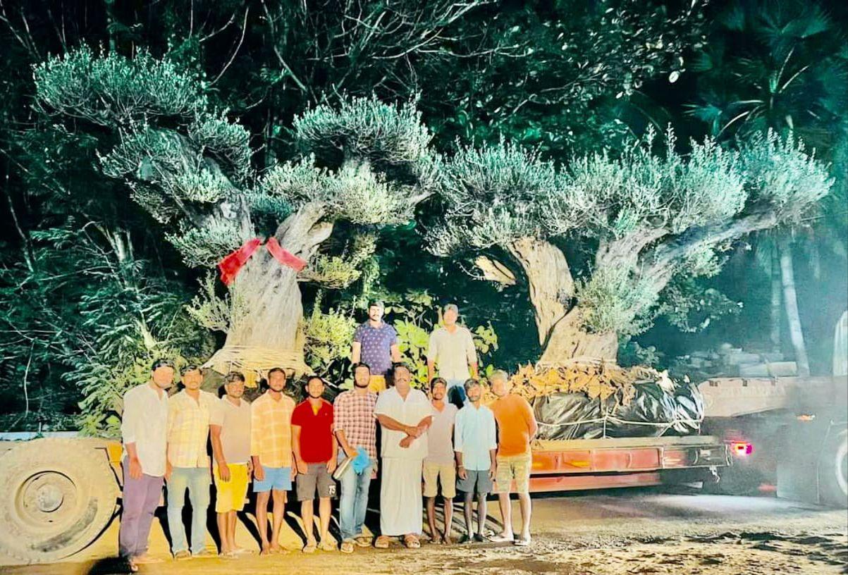 ముఖేష్ అంబానీ ఇంటికి కడియం మొక్కలు ముఖేష్ అంబానీ ఇంటికి కడియం మొక్కలు