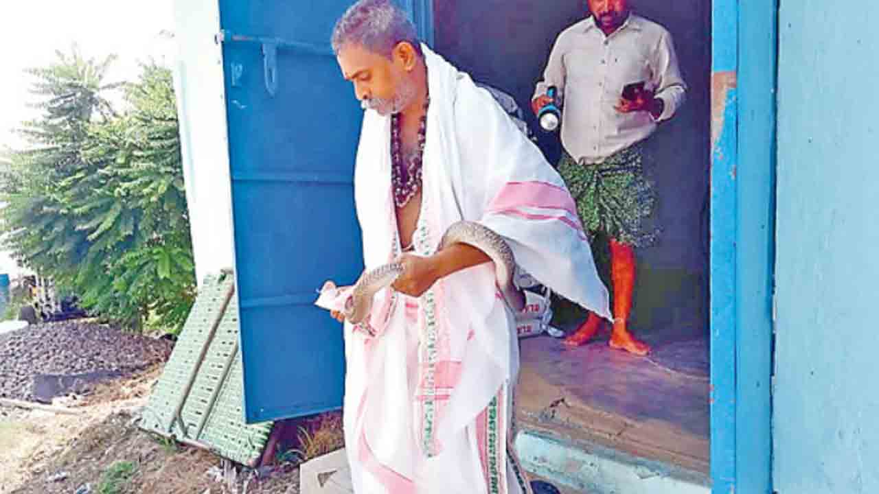 పామును పట్టేందుకు వెళ్లి.. ప్రాణాలు కోల్పోయిన అర్చకుడు పామును పట్టేందుకు వెళ్లి.. ప్రాణాలు కోల్పోయిన అర్చకుడు