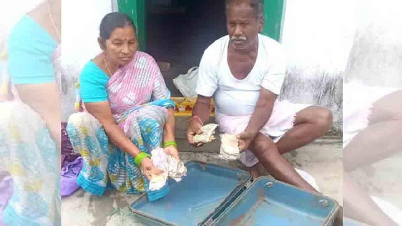 చెదల పాలైన రూ.1.5 లక్షలు.. ఆవేదన వ్యక్తం చేసిన దంపతులు చెదల పాలైన రూ.1.5 లక్షలు.. ఆవేదన వ్యక్తం చేసిన దంపతులు
