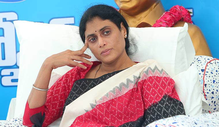 గాడిద సంగీతానికి ఒంటెల ఆశ్చర్యం గాడిద సంగీతానికి ఒంటెల ఆశ్చర్యం