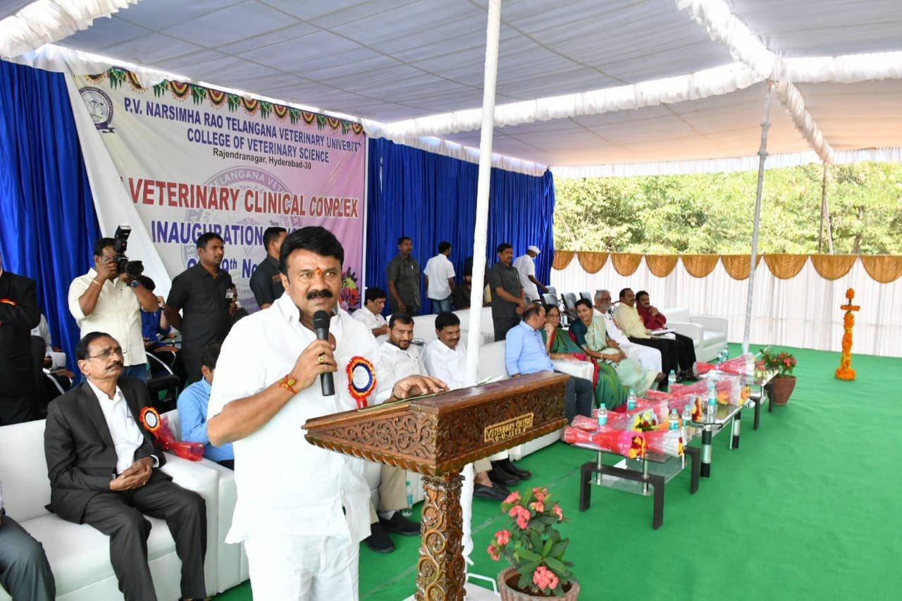నల్గొండకు వెటర్నరీ కళాశాల: మంత్రి తలసాని నల్గొండకు వెటర్నరీ కళాశాల: మంత్రి తలసాని