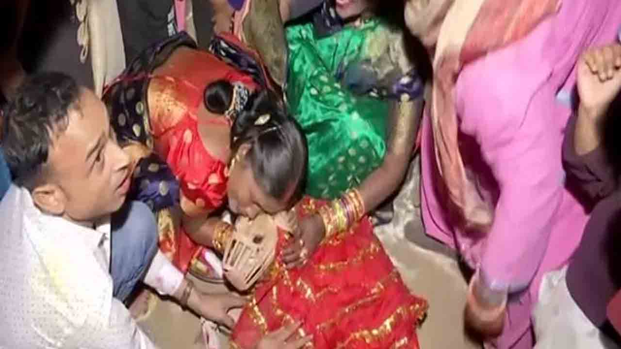 శునకాలకు ఘనంగా వివాహం.. భావోద్వేగానికి గురైన యజమాని శునకాలకు ఘనంగా వివాహం.. భావోద్వేగానికి గురైన యజమాని