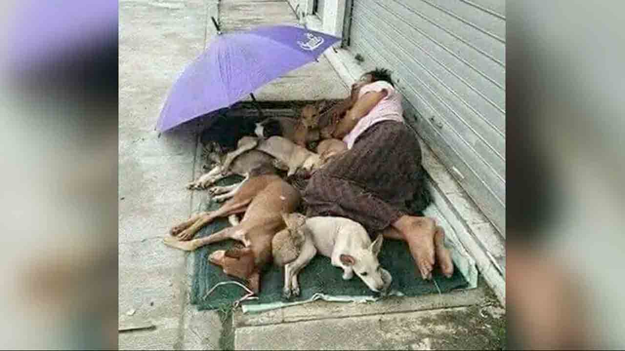 Viral Pic | అతనికే గూడు లేదు.. కానీ ఆ శునకాలను గుండెల్లో దాచుకున్నాడు.. ఫోటో వైరల్ Viral Pic | అతనికే గూడు లేదు.. కానీ ఆ శునకాలను గుండెల్లో దాచుకున్నాడు.. ఫోటో వైరల్